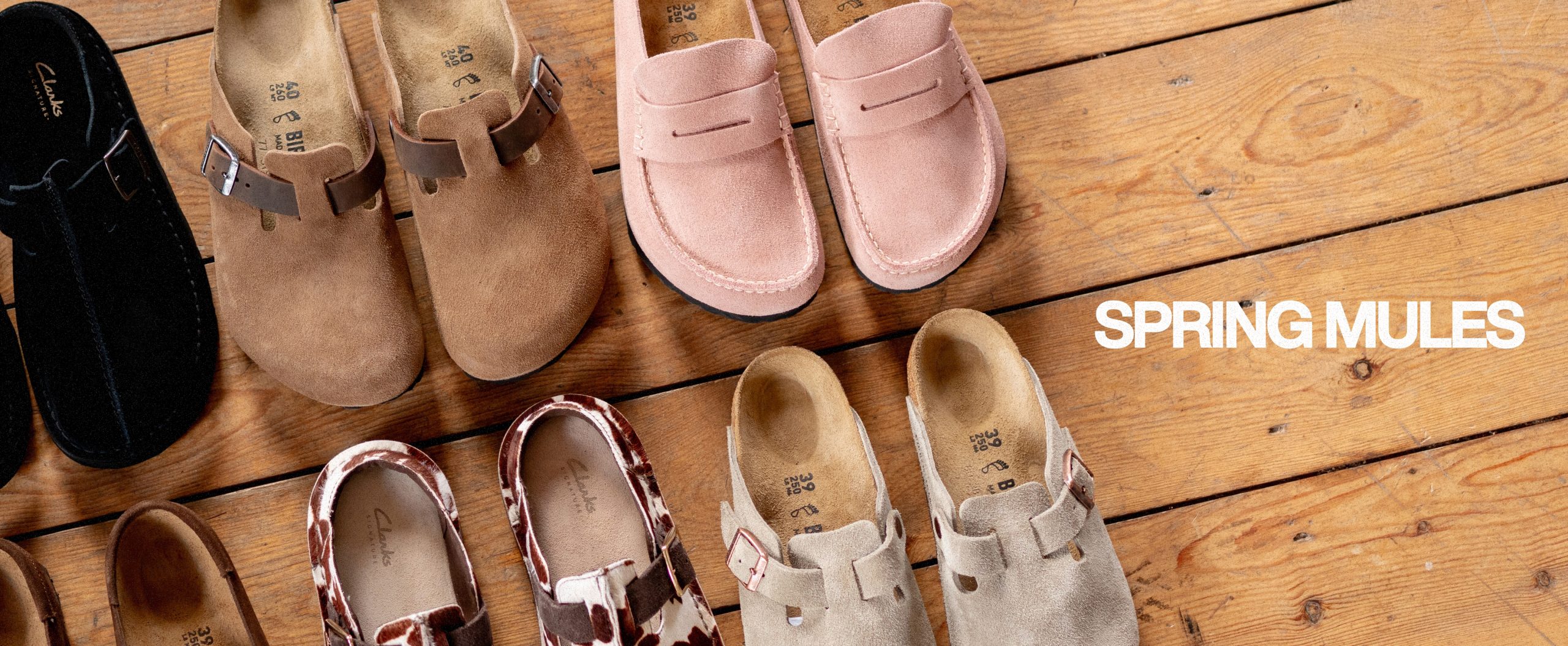 The best mules to take into spring - size? blog